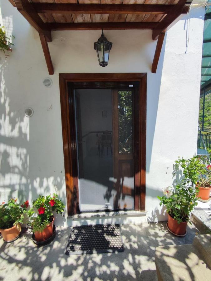 Eden Tra I Limoni Apartment Minori Exterior photo